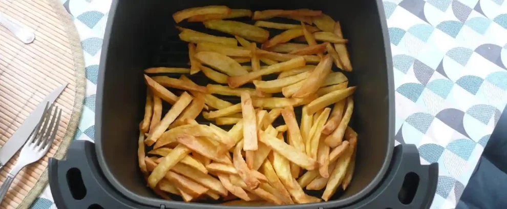 avis test essai moulinex easy fry dual airfyer