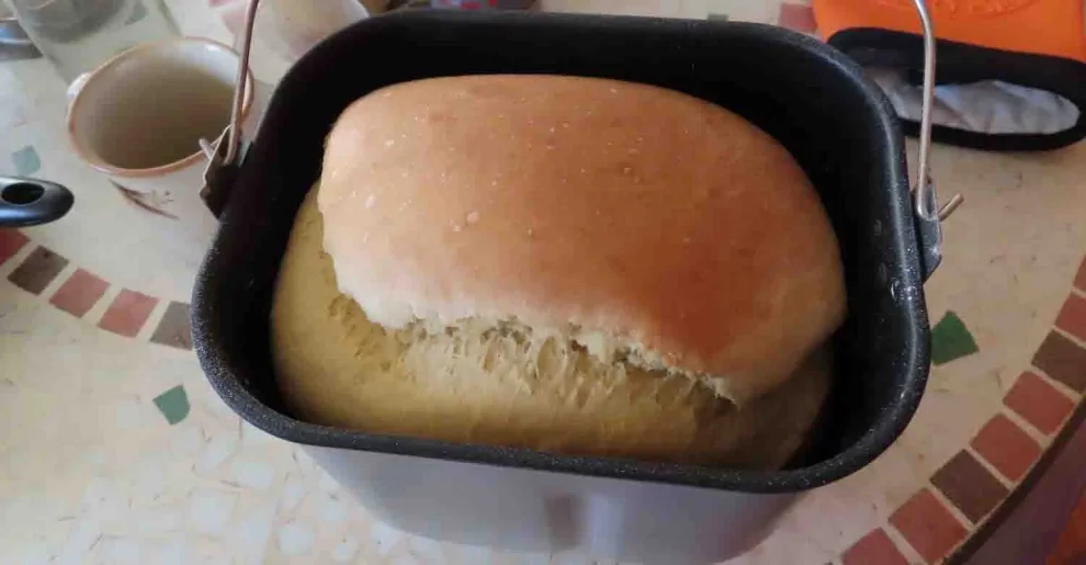 avis test essai machine a pain princess wake up