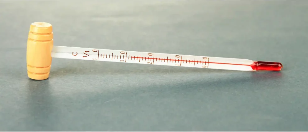 meilleurs thermomètres a vin comparatif guide d'achat