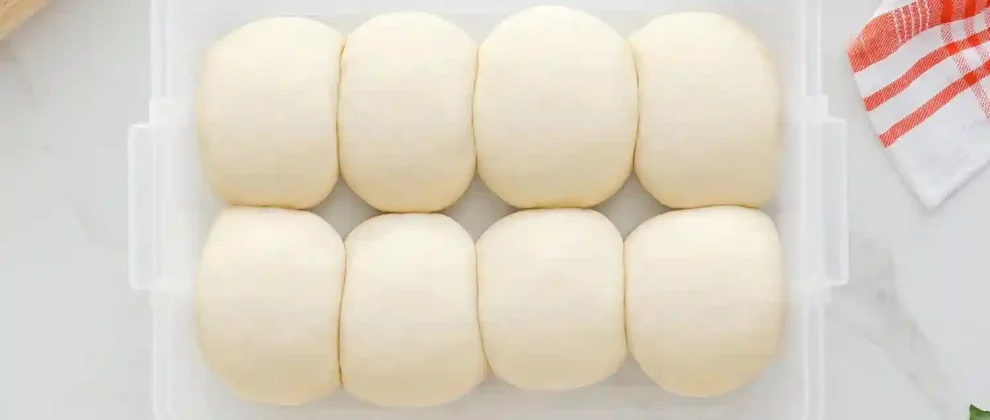 meilleurs bacs fermentation pate pizza avis comparatif guide d'achat