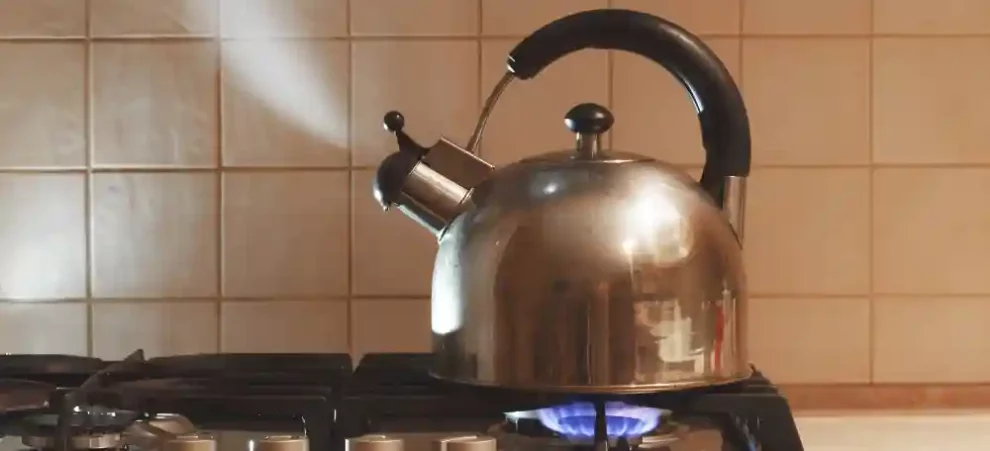 meilleures bouilloires sifflantes avis comparatif guide d'achat