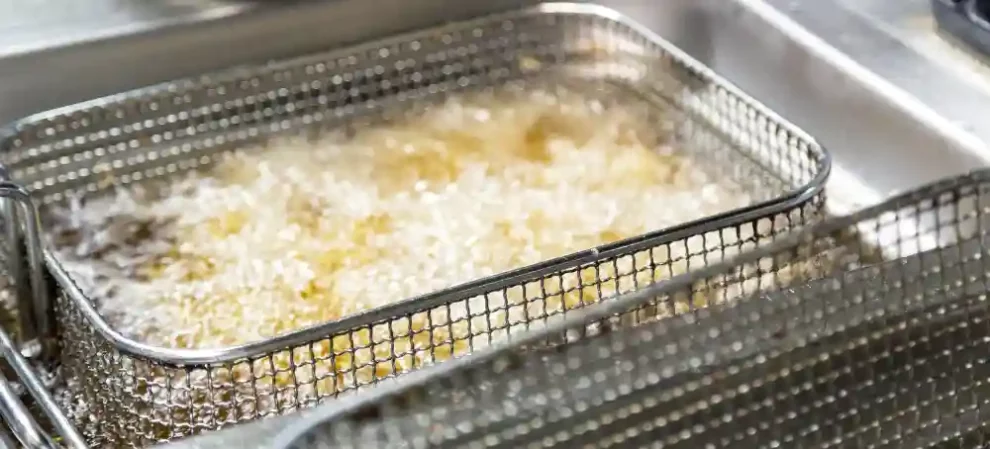 meilleures friteuses professionnelles avis comparatif guide d'achat