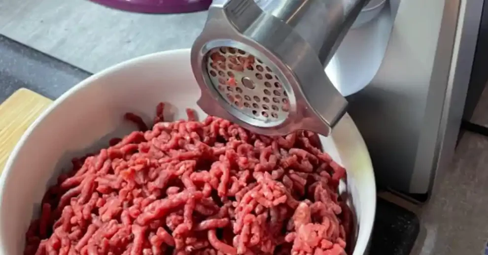 avis test essai hachoir viande électrique bosch propower