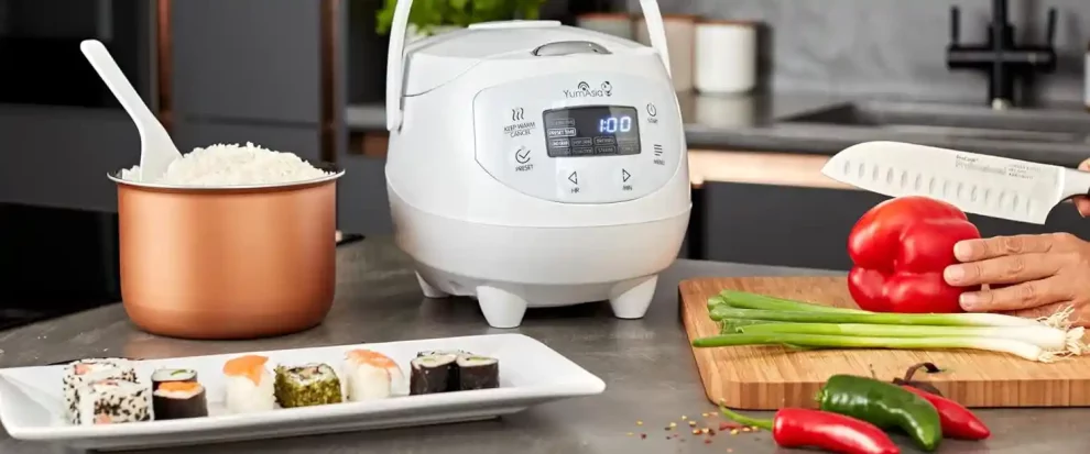 avis test essai mini cuiseur a riz yum asia panda