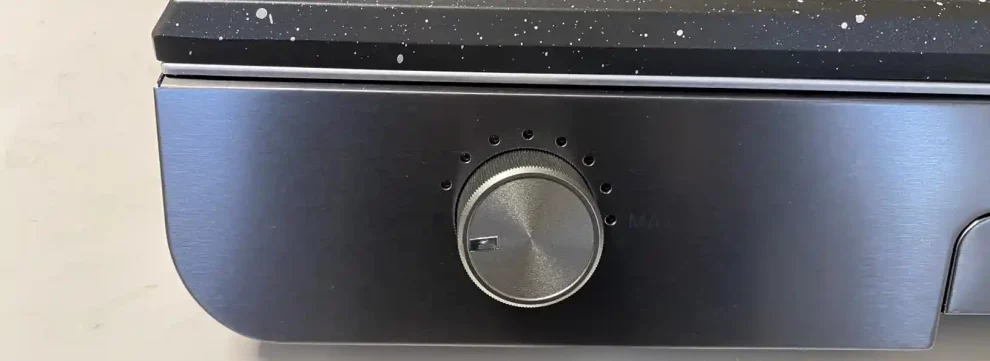 avis test essai plancha barbecue electrique cecotec perfect roast 3000