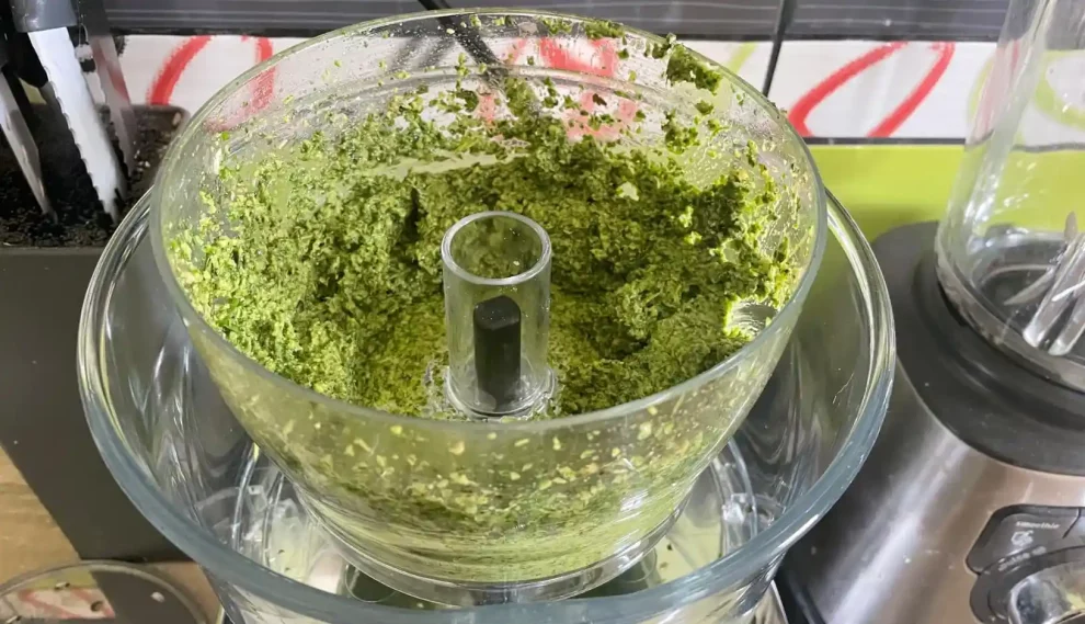 avis test essai robot cuisine Magimix 4200 XL