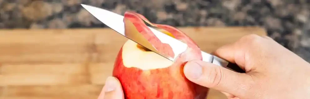 meilleurs couteaux d'office avis comparatif guide d'achat