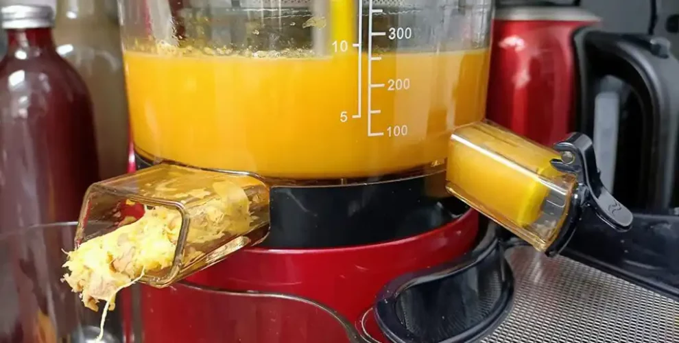 avis test essai extracteur de jus biochef atlas whole pro juicer