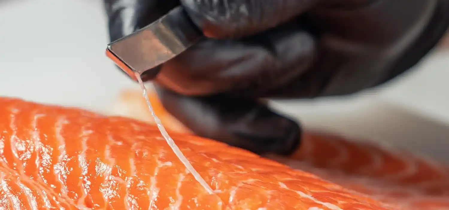 meilleures pinces a desareter poisson aretes comparatif guide d'achat