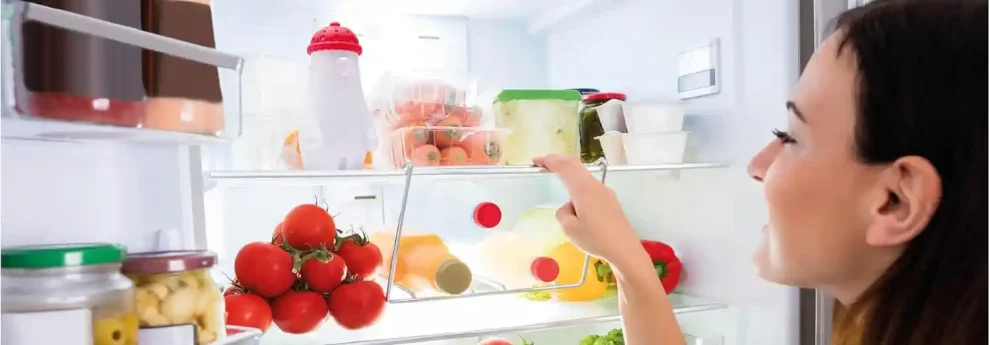 meilleurs desodorisants anti odeur frigo refrigerateur avis comparatif guide d'achat