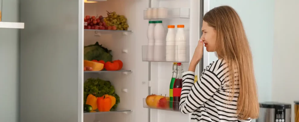 meilleurs desodorisants anti odeur frigo refrigerateur avis comparatif guide d'achat