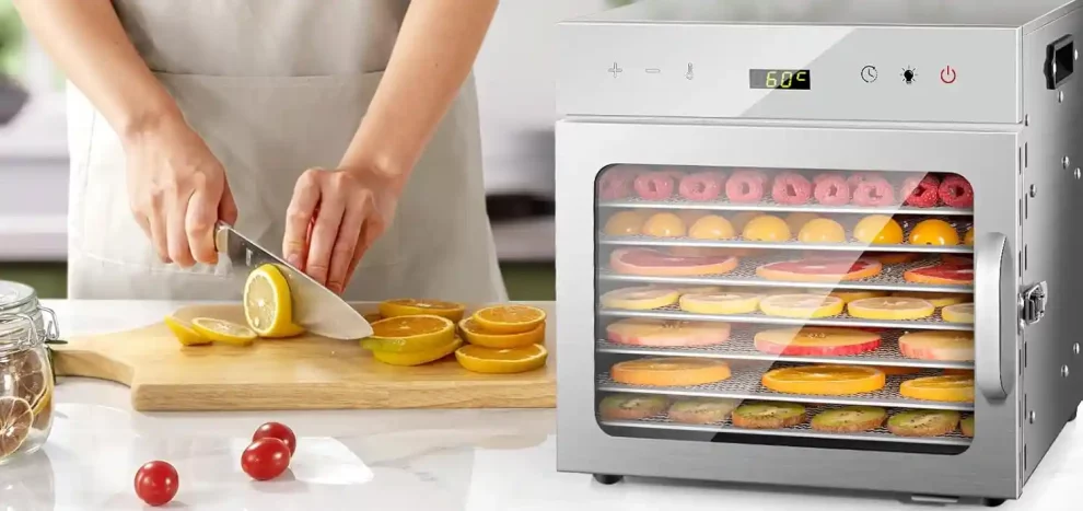 avis test essai deshydrateur alimentaire kwasyo