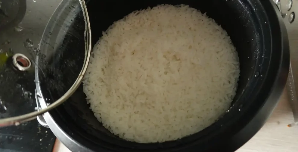 avis test essai cuiseur a riz tristar